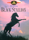 buy The Black Stallion